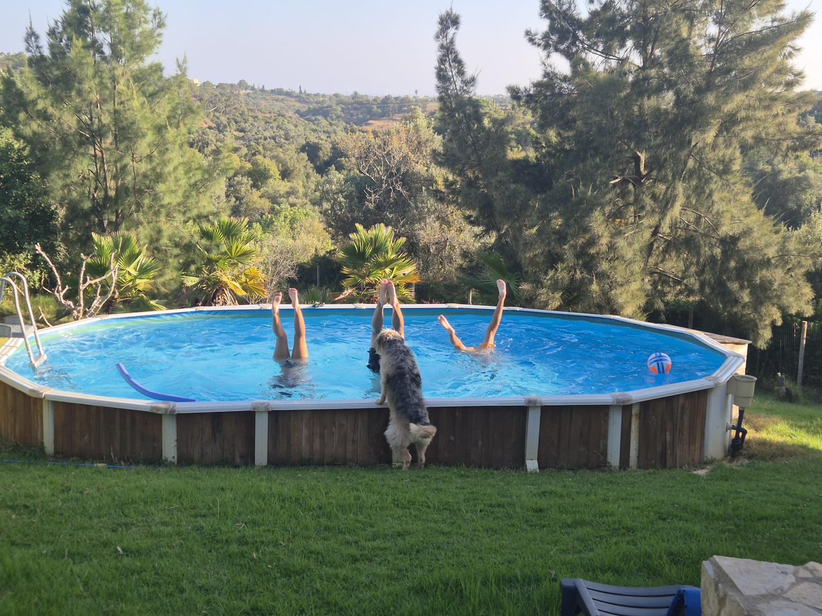 Fun Pool Top Haus
