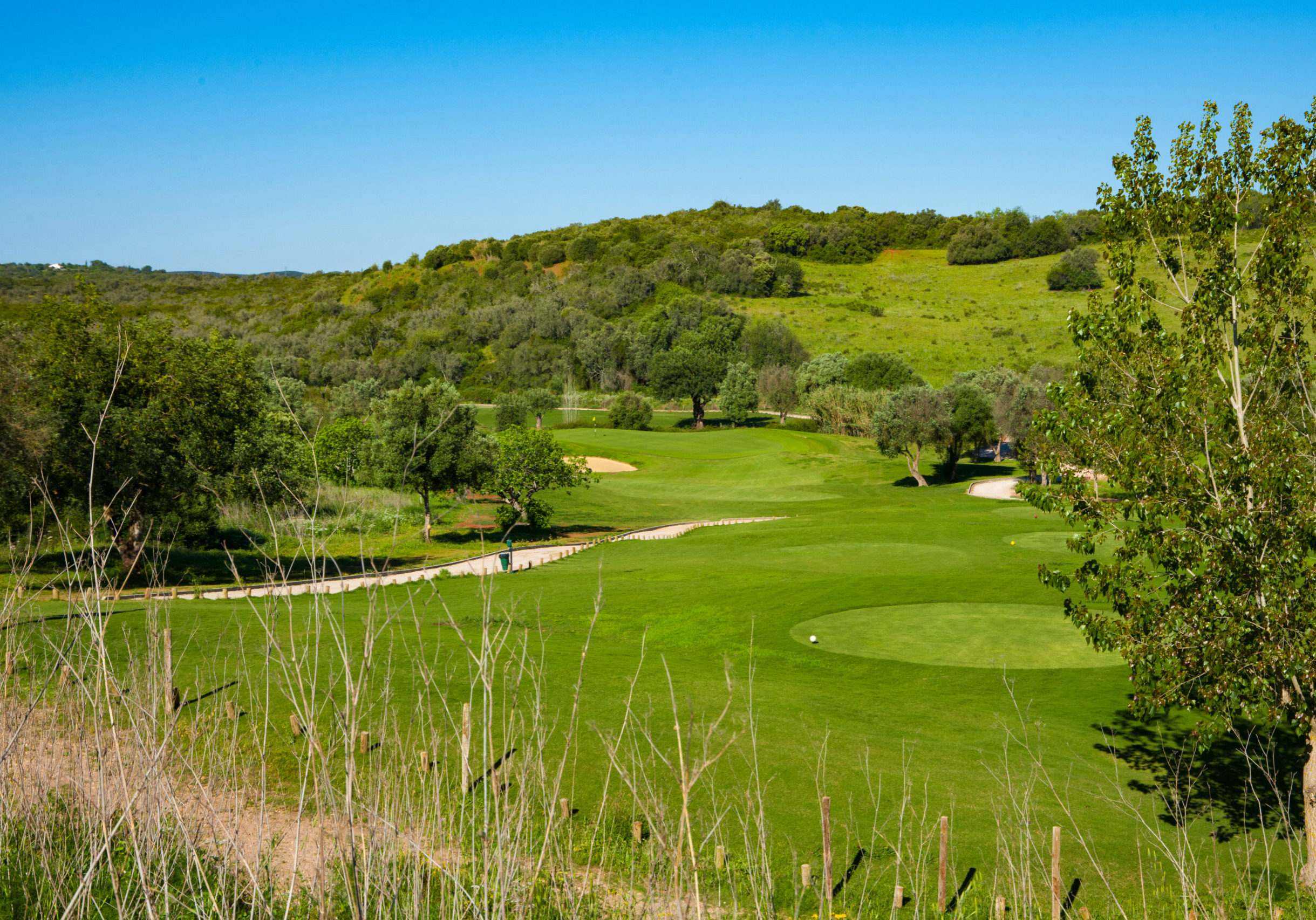 alamos-golf-course_07